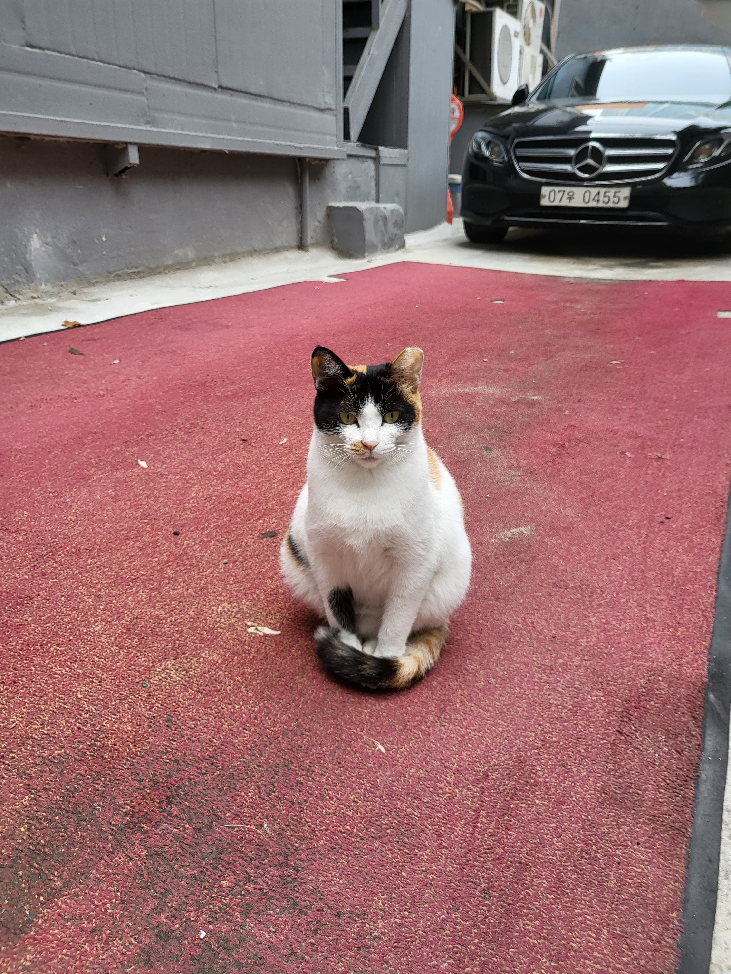 이미지 1