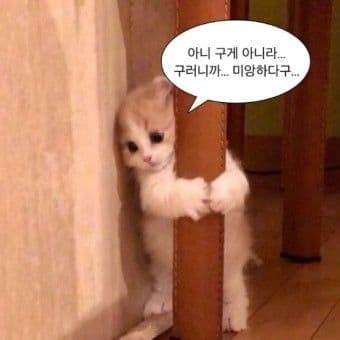 이미지 2