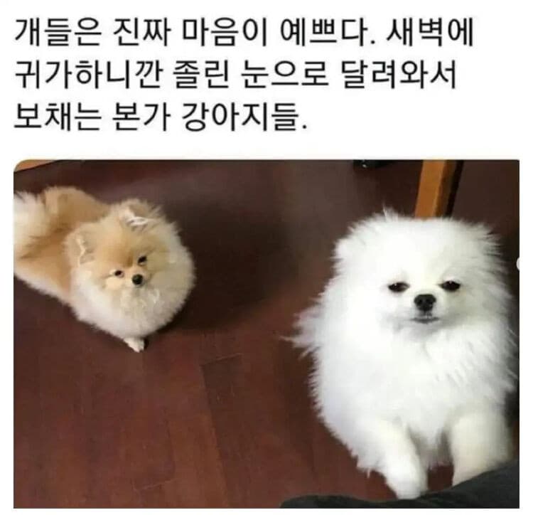 이미지 1