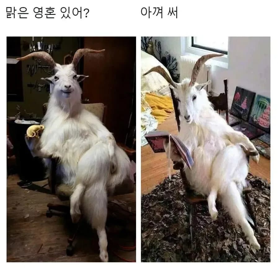 이미지 1
