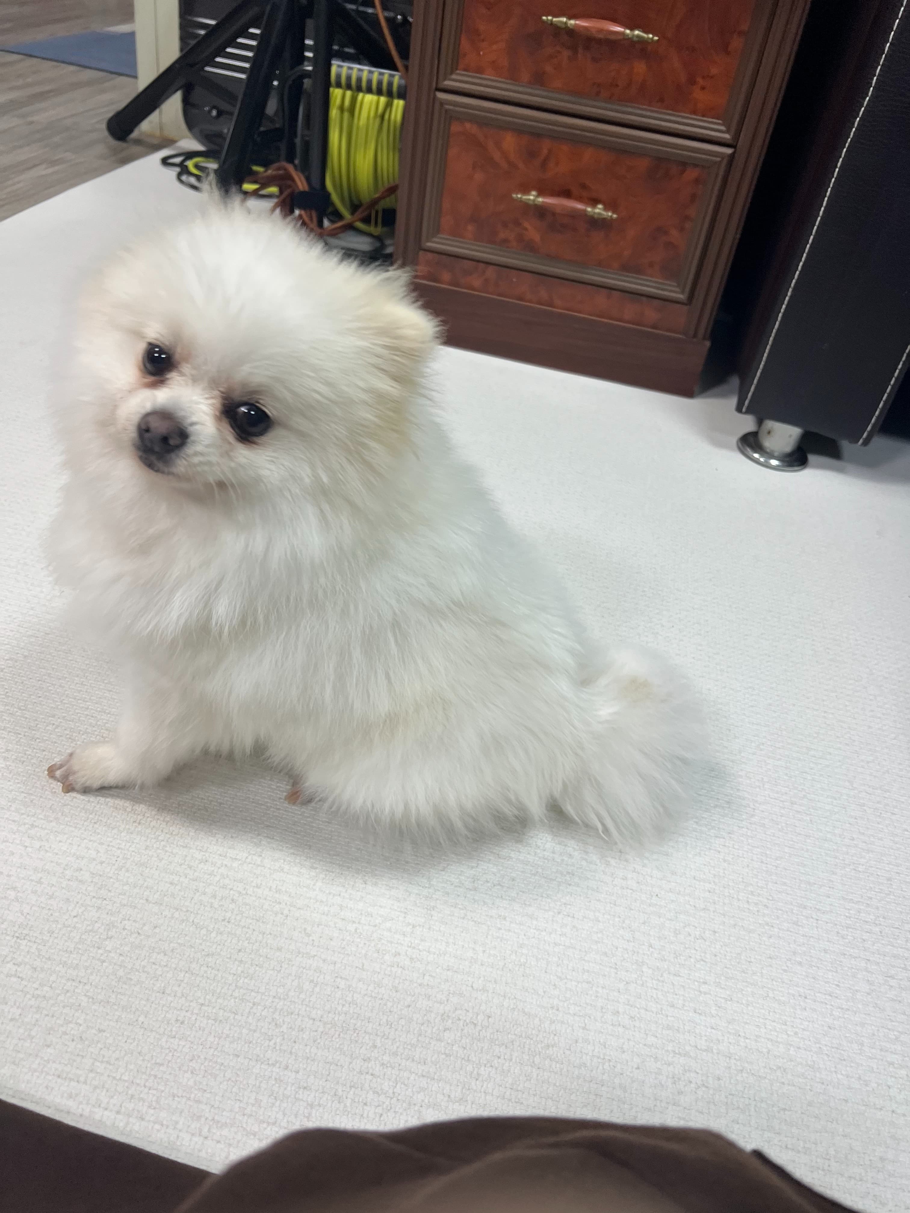 이미지 1