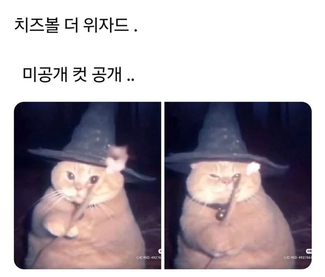 이미지 2