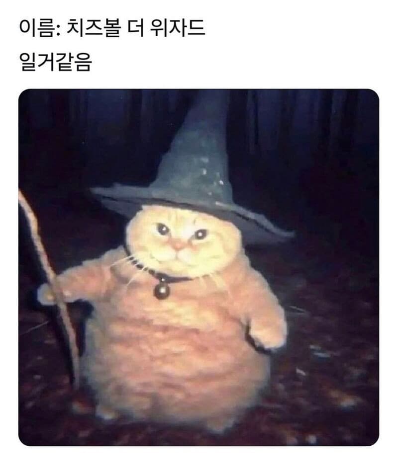이미지 1